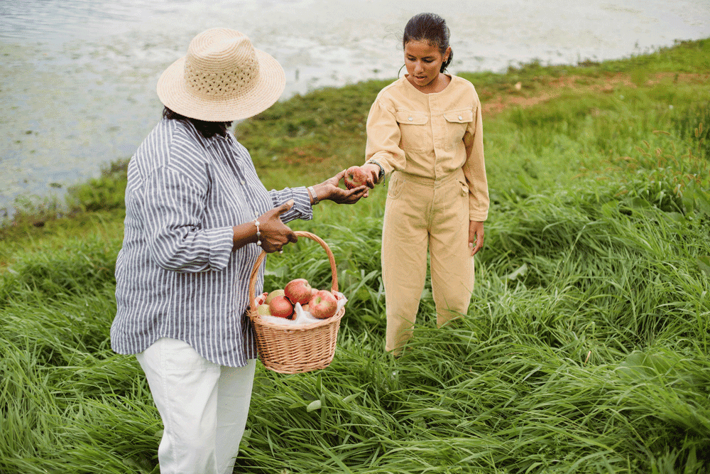 women picking fruit