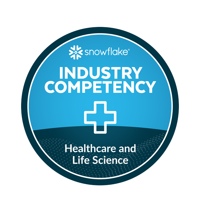 industry competency snowflake