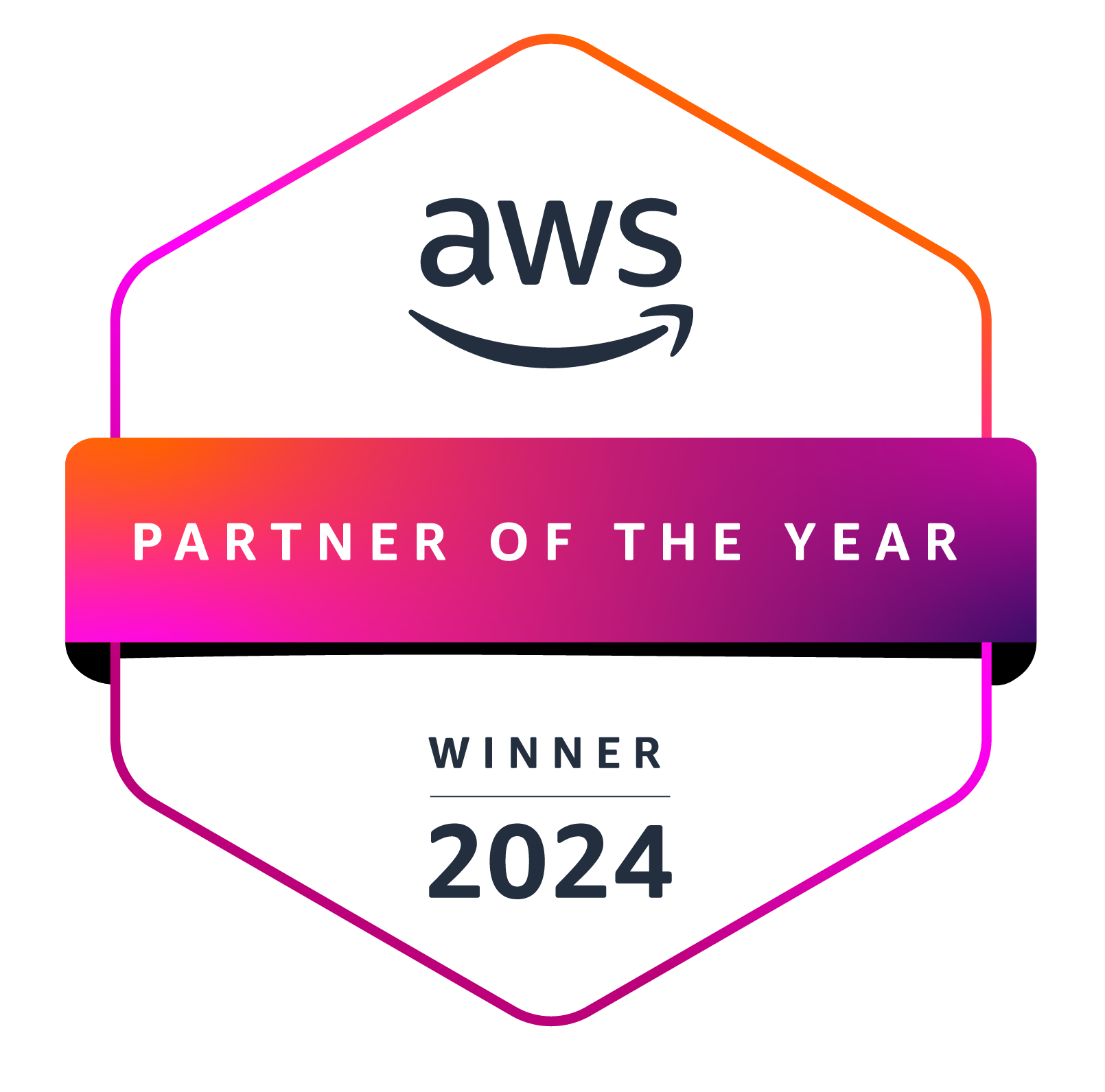 aws partner awards poy 2024